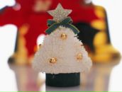 Фотография Цимерман Светланы