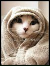 Фотография Перфильевой Марины