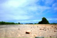 Фотография Михайлиди Юрия