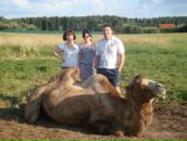 Фотография  