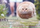 Катерина Міщенко фотография #46 (источник - https://vk.com/id12112722)