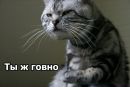 Олюська Куліш фотография #45 (источник - https://vk.com/id155706661)