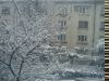 фотография #28