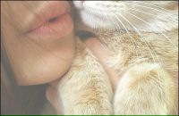 Фотография Дьяченко Дмитрия