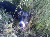 Фотография Лабутиной Елены