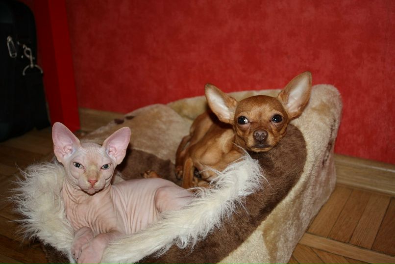 Дмитрий Борисенко фотография #37