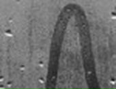 Анархистка Киш фотография #50 (источник - https://vk.com/id122052290)