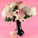 Фотография Марлезонской Татьяны