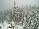 Сергій Семенович фотография #41 (источник - https://vk.com/id159224445)