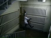 Фотография Апанасюк Ленары