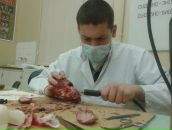 Фотография Артюха Никиты