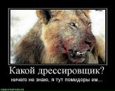 Фотография Хана Айнура