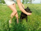 Фотография Зверюги Владиславы