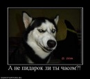 Олександр Матвійчук фотография #24 (источник - https://vk.com/id71645851)