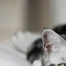 Наталія Олійник фотография #25 (источник - https://vk.com/id85387598)