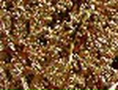 Андрій Васильєв фотография #15 (источник - https://vk.com/id131944013)