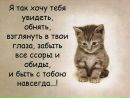 Umm Rayana фотография #5 (источник - https://vk.com/id143813952)