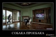 Андрій Гульчук фотография #24 (источник - https://vk.com/id21827585)