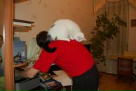 Фотография Леонидова Игоря