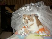 Фотография Еромы Жанны