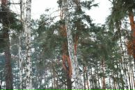 Олексій Майоренко фотография #33 (источник - https://vk.com/id17852533)