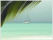 Фотография Малахаевой Анжелы