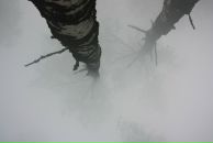 Арина Юрьевна фотография #11 (источник - https://vk.com/id52568)