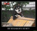 Віталій Дідович фотография #13 (источник - https://vk.com/id78979337)