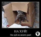 Олексій Фарина фотография #32 (источник - https://vk.com/id57227092)