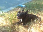 Фотография Тиханова Михаила