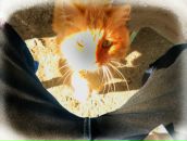 Фотография Софийчука Дмитрия