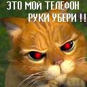 Міша Штайн фотография #19 (источник - https://vk.com/id105879190)