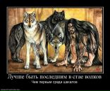 Анна Матвеенко фотография #41 (источник - https://vk.com/id536629)