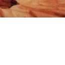 Василина Ходовіцька фотография #46 (источник - https://vk.com/id61334995)