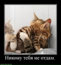Фотография Герасимовой Екатерины
