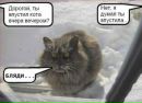 Фотография Черепниной Елены