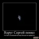 Фотография Реда Александра