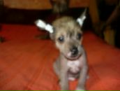 Фотография Бабенко Жанны