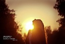 Фотография Dream Sweet
