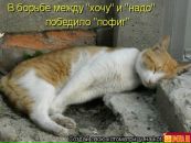 Фотография Качан Марии