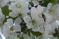 Андрій Романов фотография #7 (источник - https://vk.com/id524361)