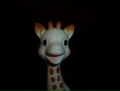 Паша Васильев фотография #1