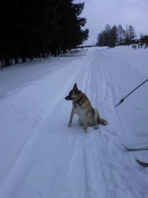 Дмитрий Щепков фотография #32