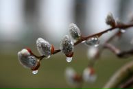 Фотография Рухловой Татьяны