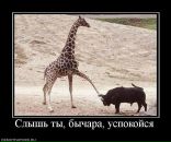 Віталік Петришин фотография #44 (источник - https://vk.com/id35692397)
