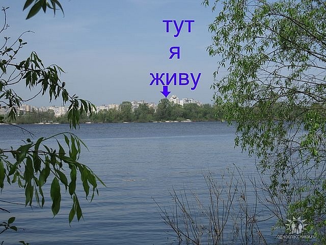 Олег Базенко фотография #13