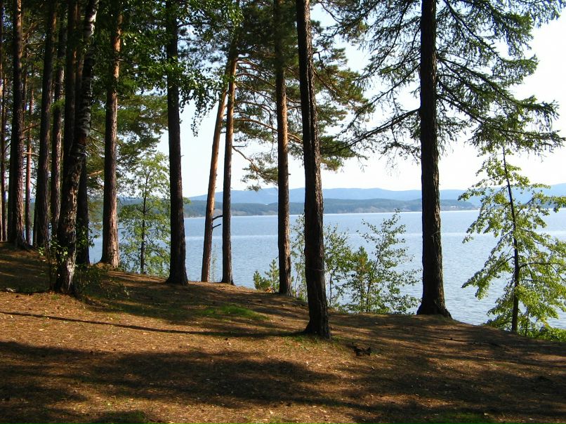 Татьяна Степанова фотография #2