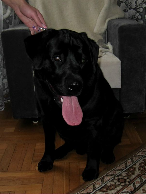 Dima Kulik фотография #38