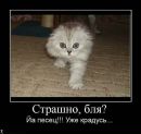 Анастасія Федоришин фотография #32 (источник - https://vk.com/id97169027)