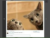 Ельвіра Довгель фотография #40 (источник - https://vk.com/id57731986)